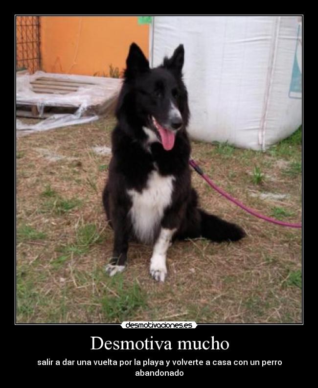 Desmotiva mucho -