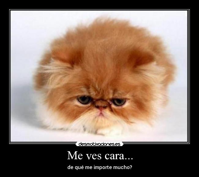 Me ves cara... - de qué me importe mucho?