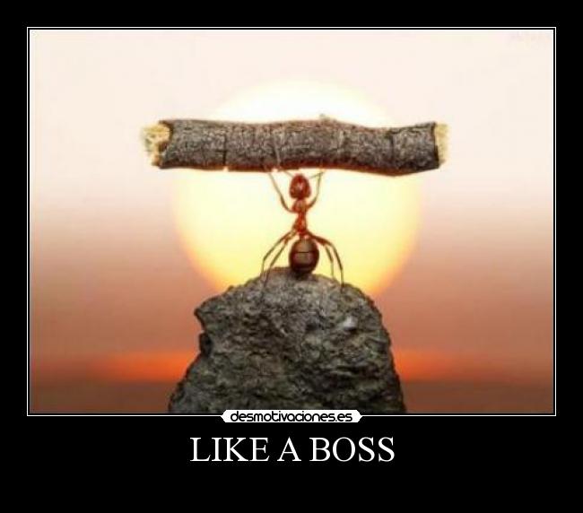 LIKE A BOSS -