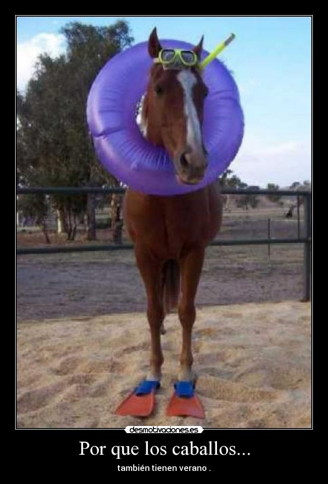 Por que los caballos... - también tienen verano .