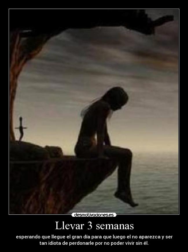 Llevar 3 semanas - 