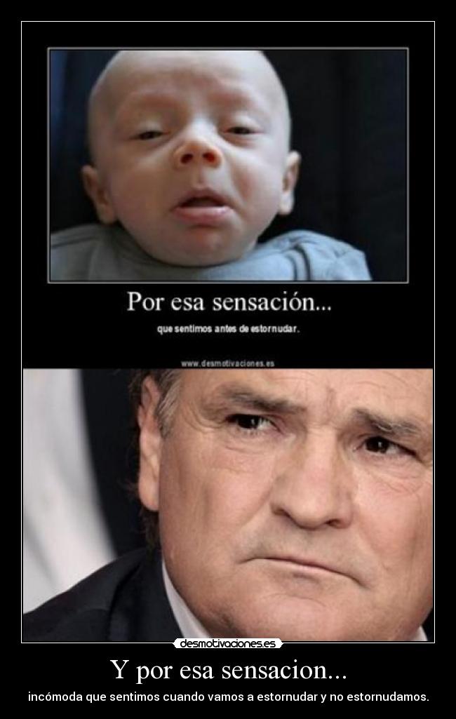 Y por esa sensacion... -