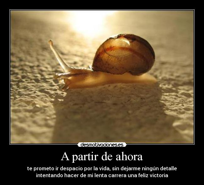 A partir de ahora - te prometo ir despacio por la vida, sin dejarme ningún detalle
intentando hacer de mi lenta carrera una feliz victoria