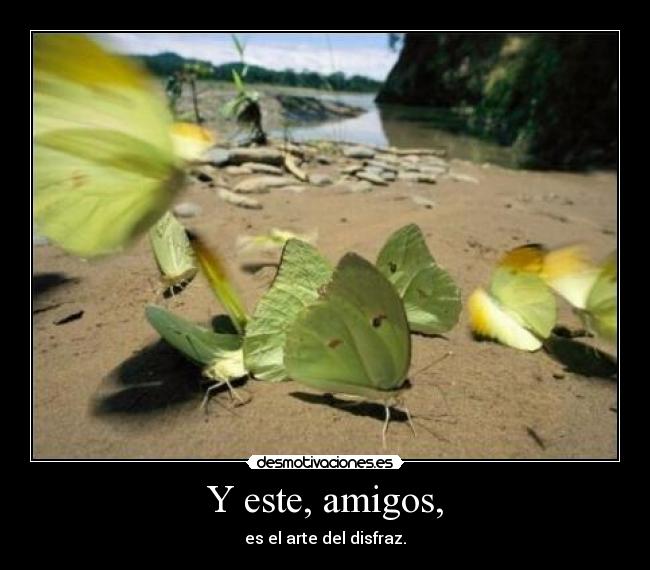 Y este, amigos, - es el arte del disfraz.