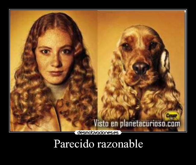 Parecido razonable -