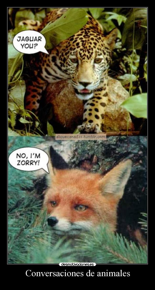 Conversaciones de animales - 