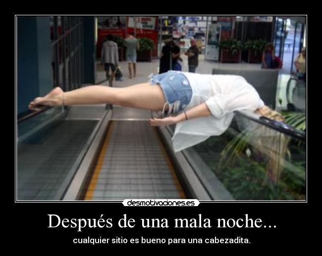 Después de una mala noche... - cualquier sitio es bueno para una cabezadita.