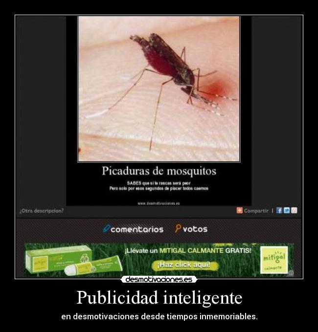 Publicidad inteligente -