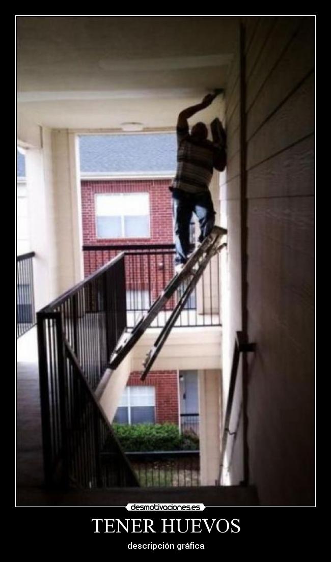 TENER HUEVOS - descripción gráfica