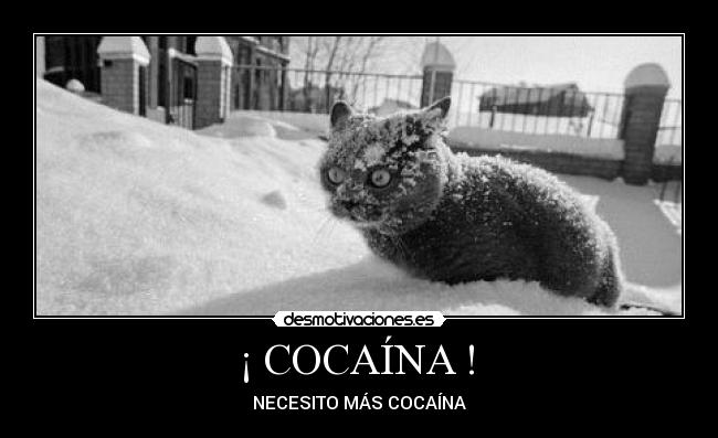 ¡ COCAÍNA ! -