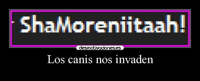 Los canis nos invaden - 