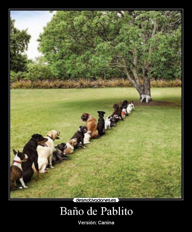 carteles slipknotizada desmotivaciones