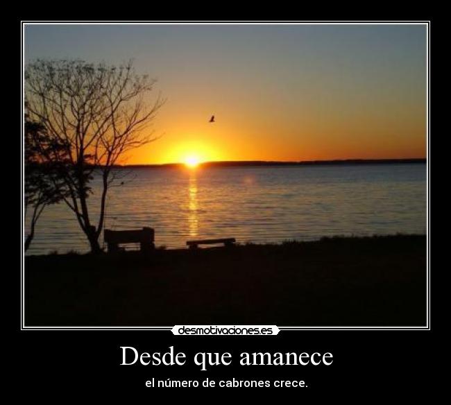 Desde que amanece - 