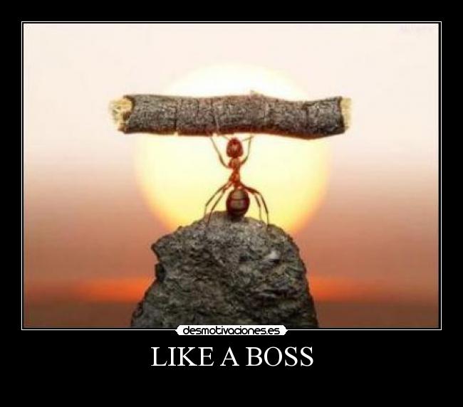 LIKE A BOSS - 