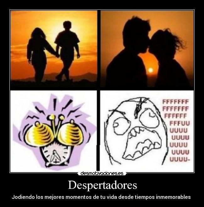 Despertadores - 