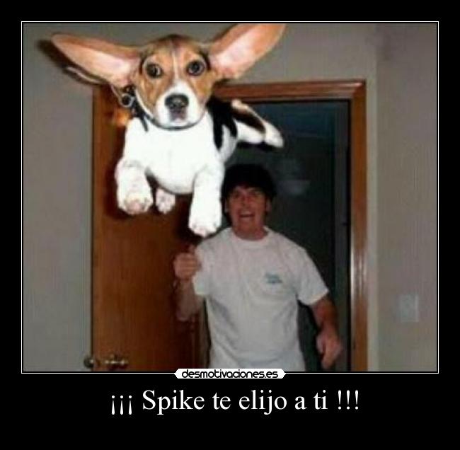  ¡¡¡ Spike te elijo a ti !!! - 