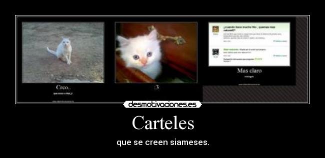 Carteles - que se creen siameses.
