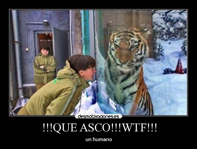 !!!QUE ASCO!!!WTF!!! -