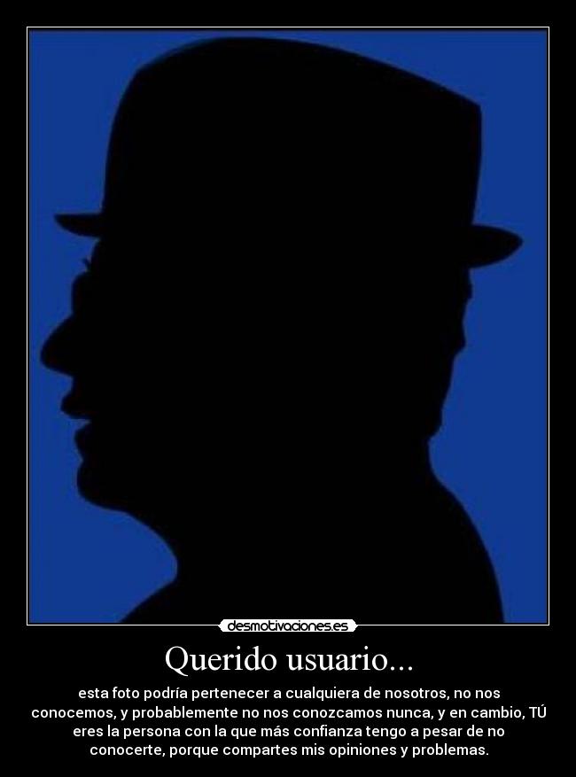 Querido usuario... - 