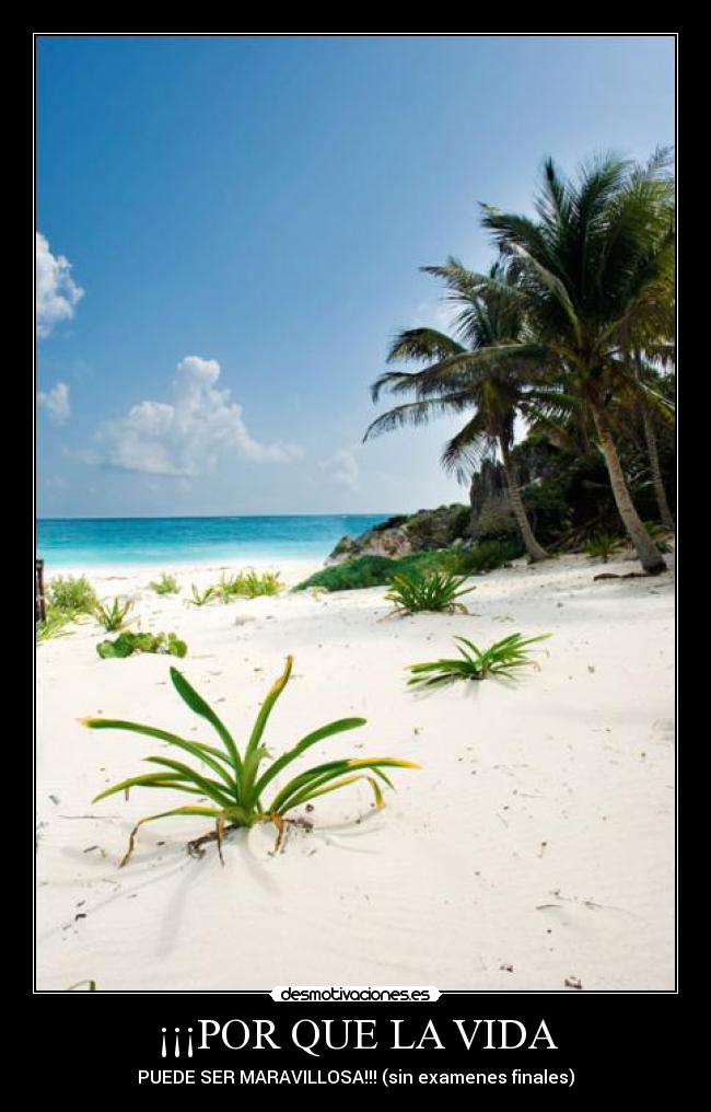 ¡¡¡POR QUE LA VIDA -
