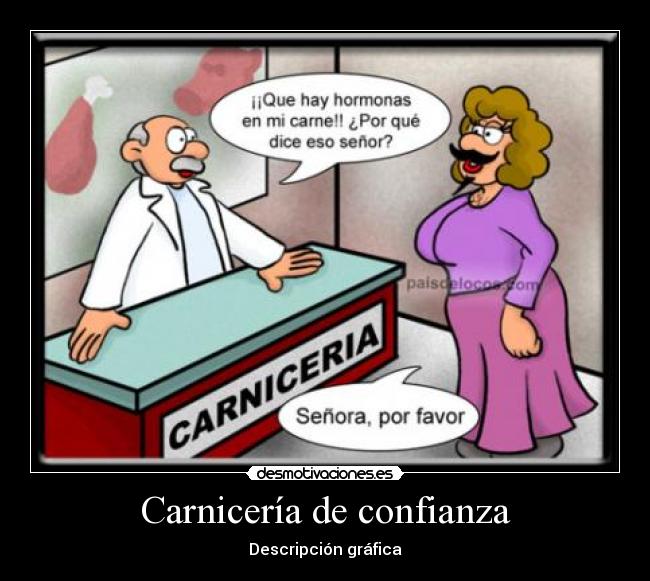 Carnicería de confianza - Descripción gráfica