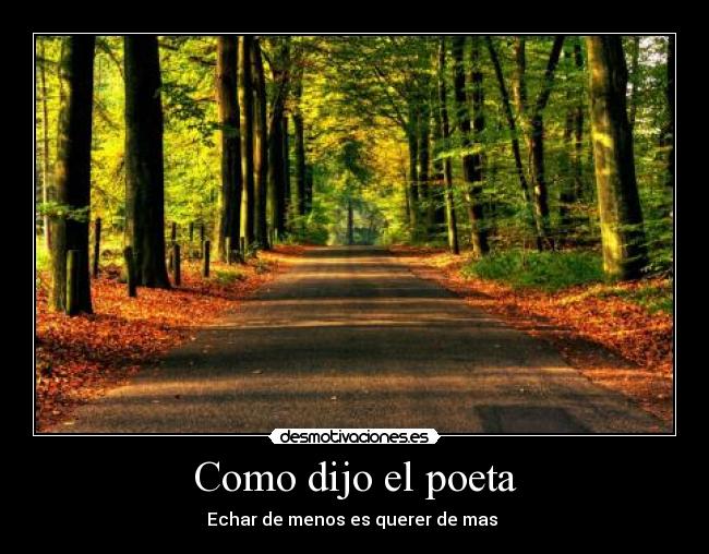 Como dijo el poeta - Echar de menos es querer de mas