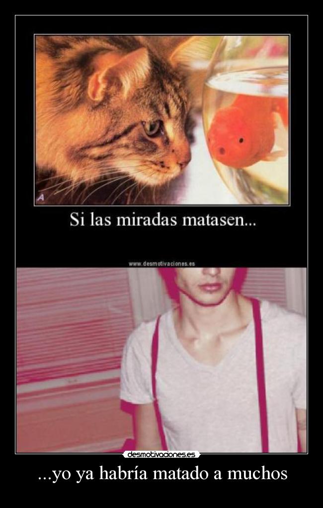 ...yo ya habría matado a muchos - 