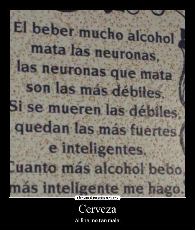 Cerveza - 