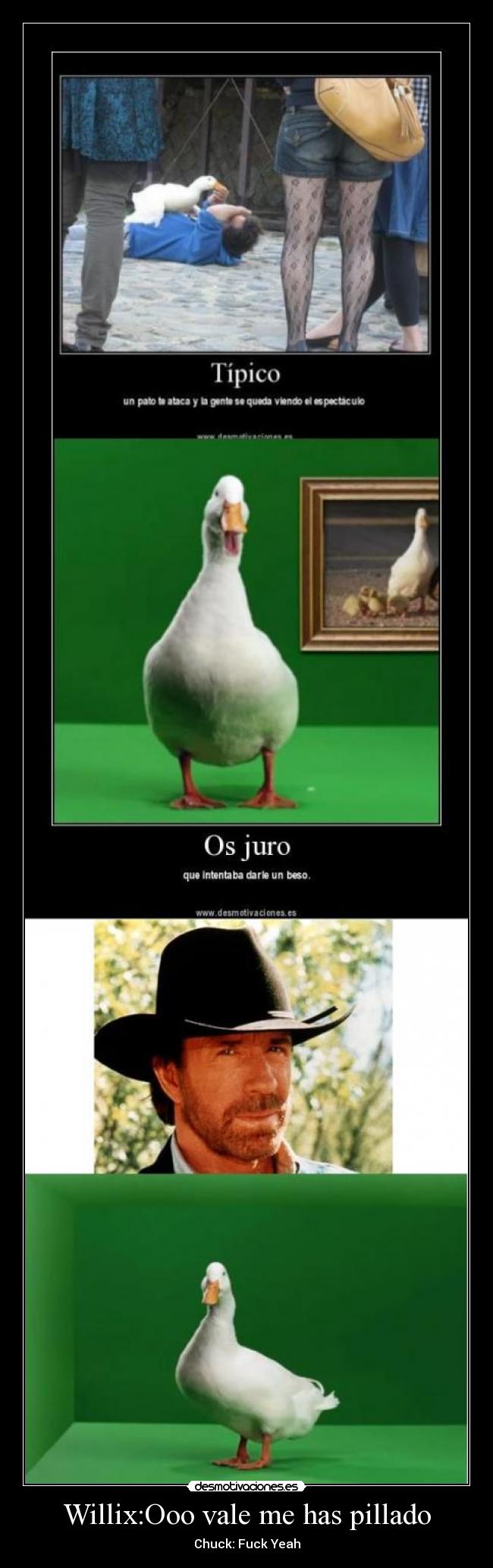 Willix:Ooo vale me has pillado - Chuck: Fuck Yeah