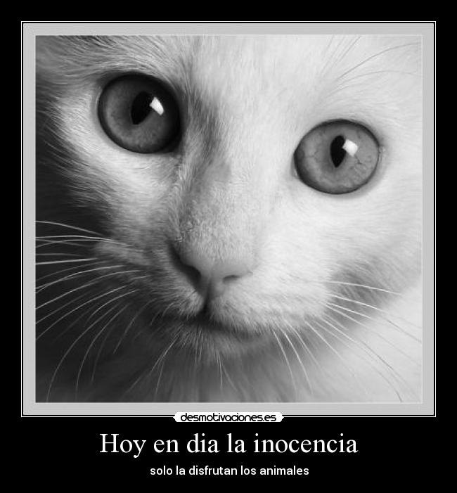 Hoy en dia la inocencia - solo la disfrutan los animales
