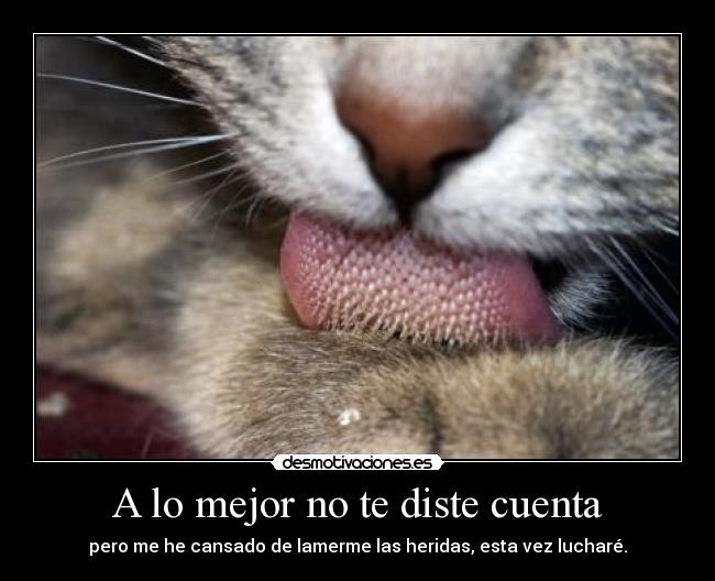 A lo mejor no te diste cuenta - 