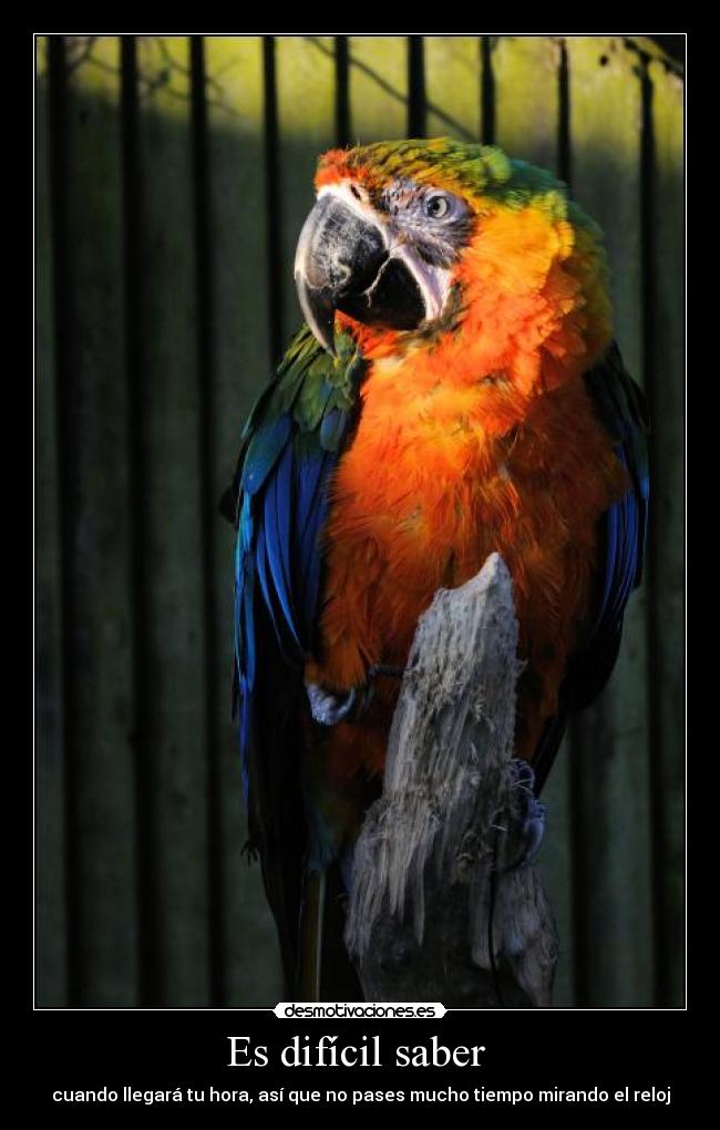 Es difícil saber  - 