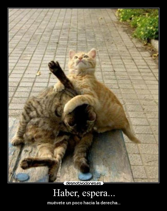Haber, espera... -
