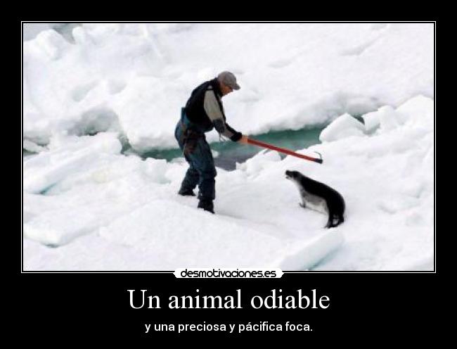 Un animal odiable -