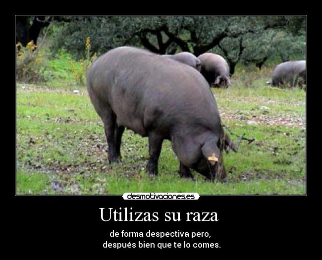 carteles carnee desmotivaciones