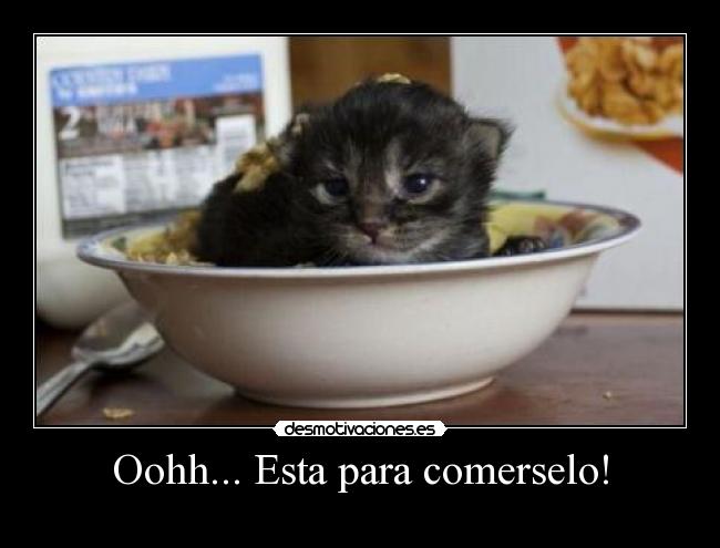 Oohh... Esta para comerselo! -