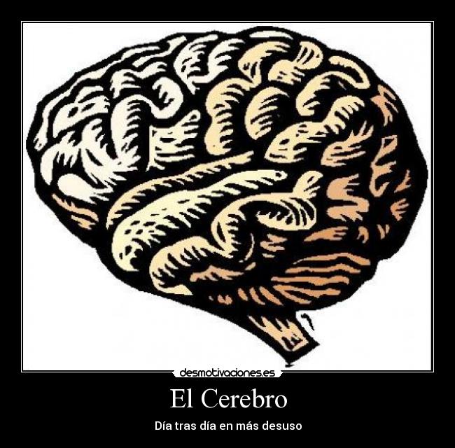 El Cerebro -