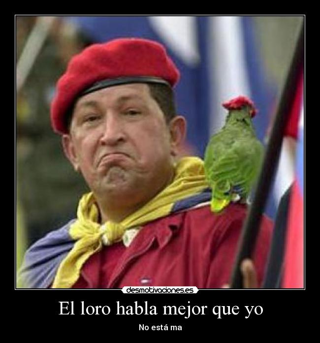 carteles loro chavez desmotivaciones