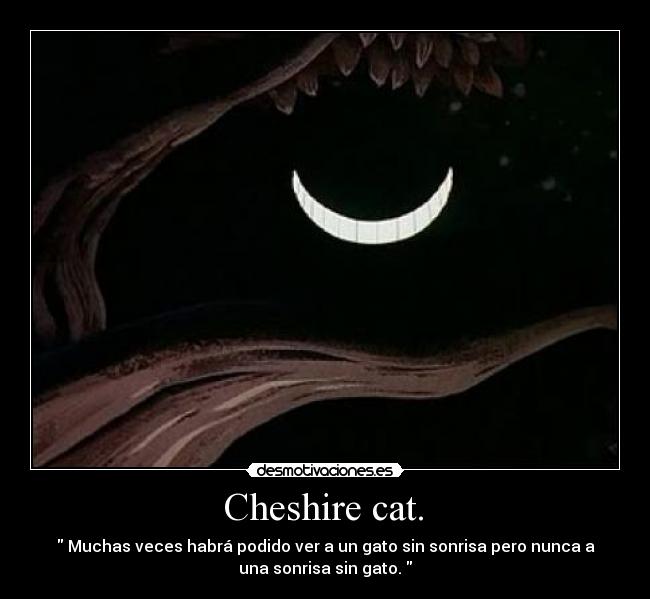  Cheshire cat.  - 