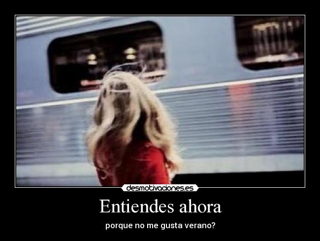 carteles verano desmotivaciones