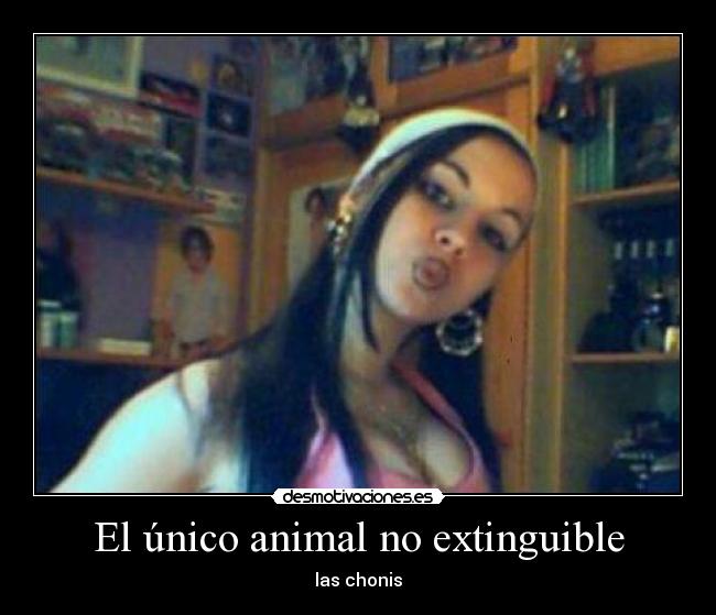 El único animal no extinguible - las chonis