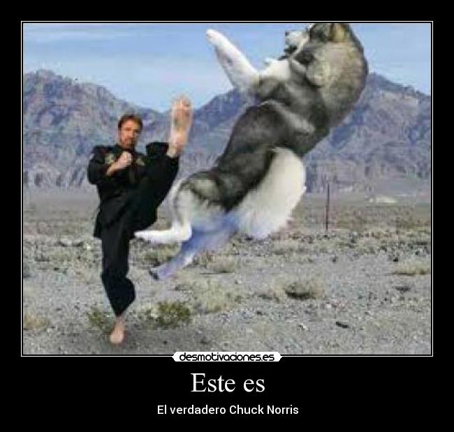 Este es - El verdadero Chuck Norris