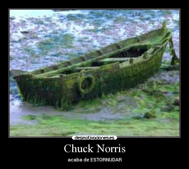 Chuck Norris - acaba de ESTORNUDAR