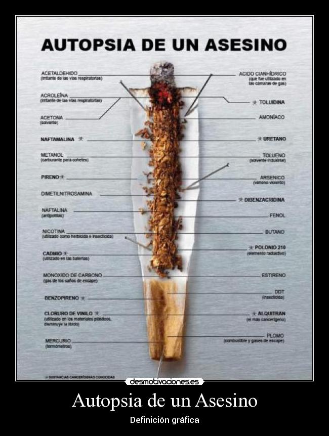 Autopsia de un Asesino - Definición gráfica