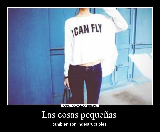 Las cosas pequeñas - también son indestructibles.