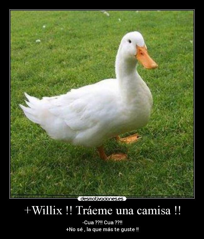+Willix !! Tráeme una camisa !! -