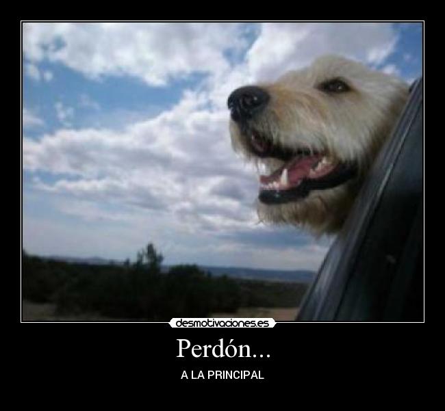Perdón... -