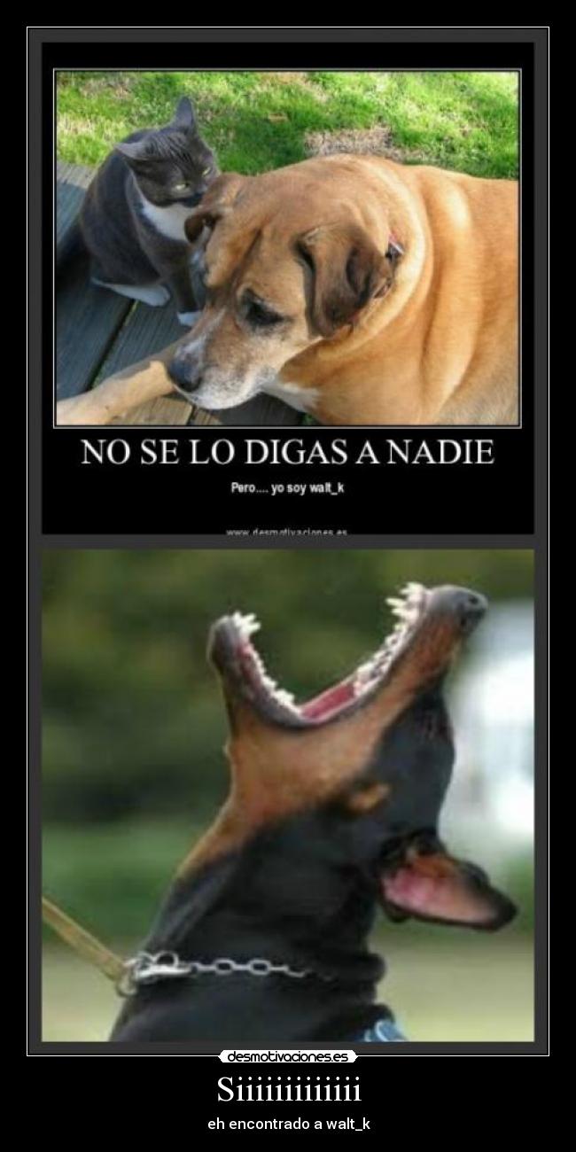 Siiiiiiiiiiiii - eh encontrado a walt_k