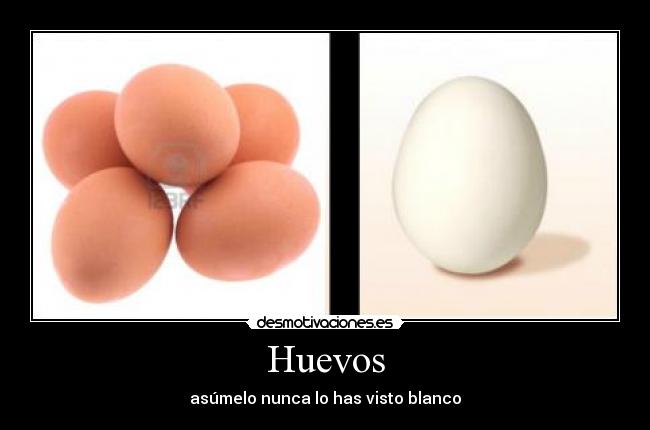 Huevos -