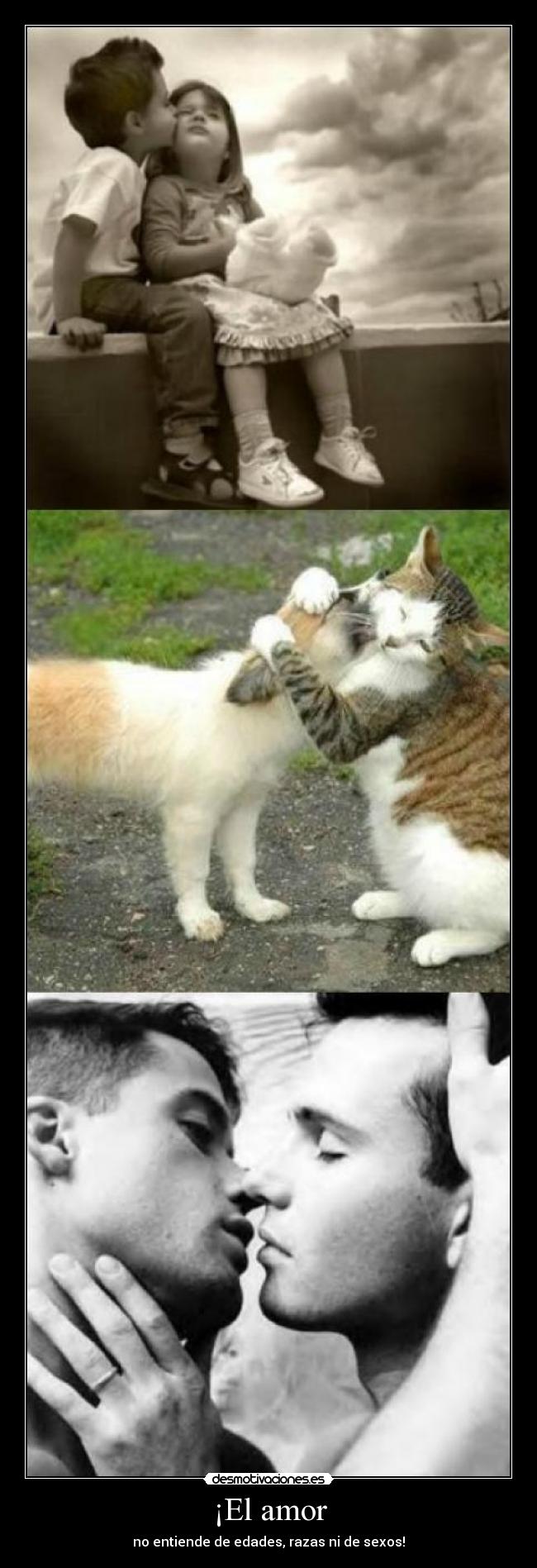 ¡El amor - no entiende de edades, razas ni de sexos!